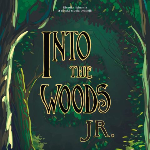 Into the Woods jr.