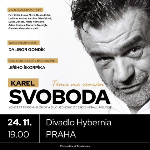 Karel Svoboda, Téma na román